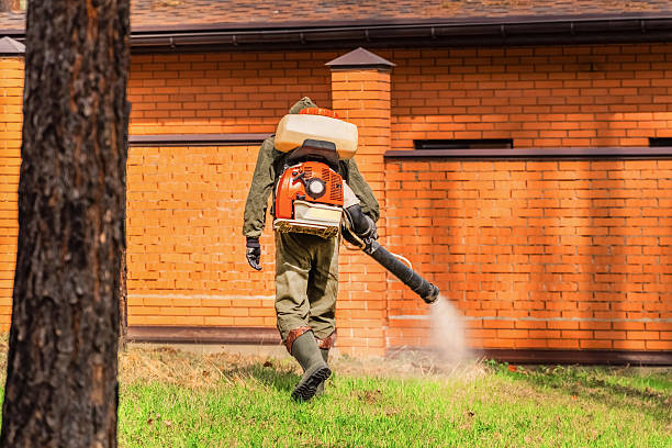 Trusted Ant Control service in Gasport, NY - Nex Pest Control